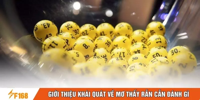 Giới thiệu khái quát về mơ thấy rắn cắn đánh gì Giới thiệu khái quát về mơ thấy rắn cắn đánh gì