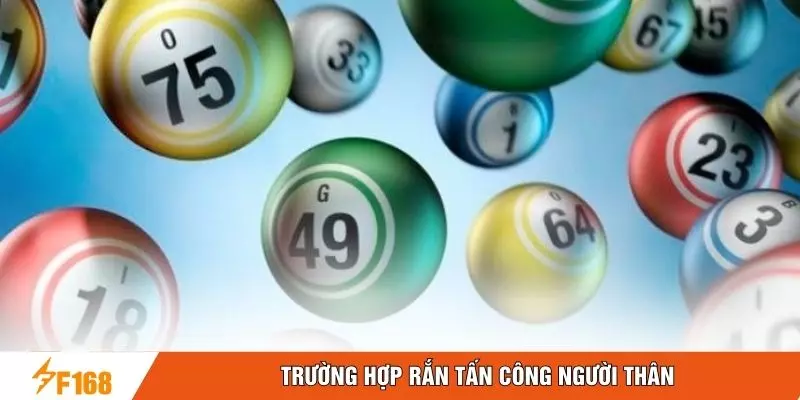 Trường hợp rắn tấn công người thân Trường hợp rắn tấn công người thân