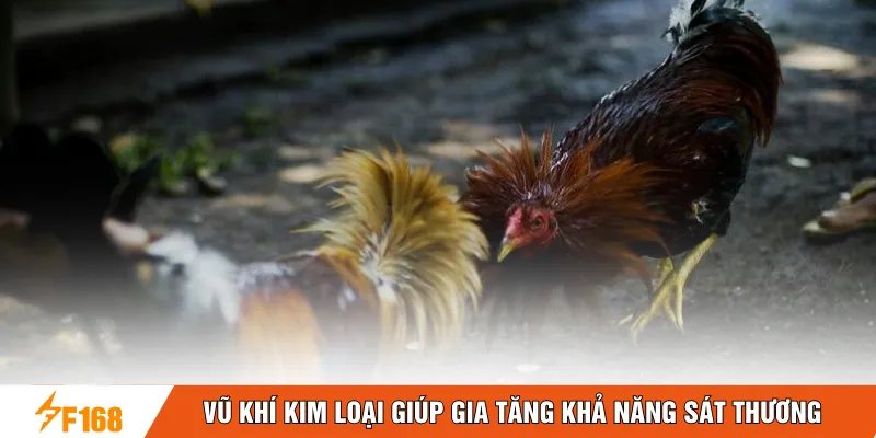 Vũ khí kim loại giúp gia tăng khả năng sát thương Vũ khí kim loại giúp gia tăng khả năng sát thương